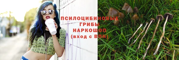 прущие крисы Осинники