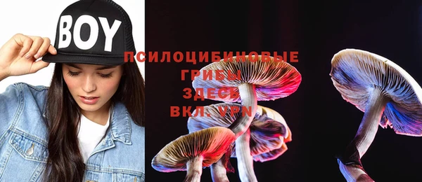 каннабис Алзамай