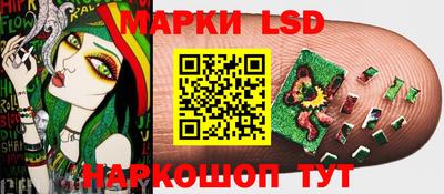 индика Усть-Джегута