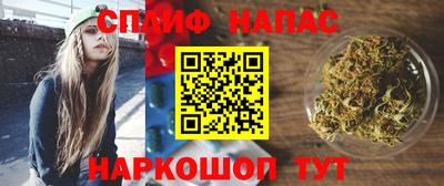 индика Усть-Джегута