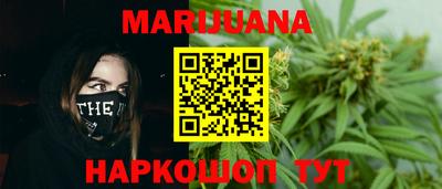 индика Усть-Джегута