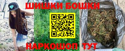 индика Усть-Джегута