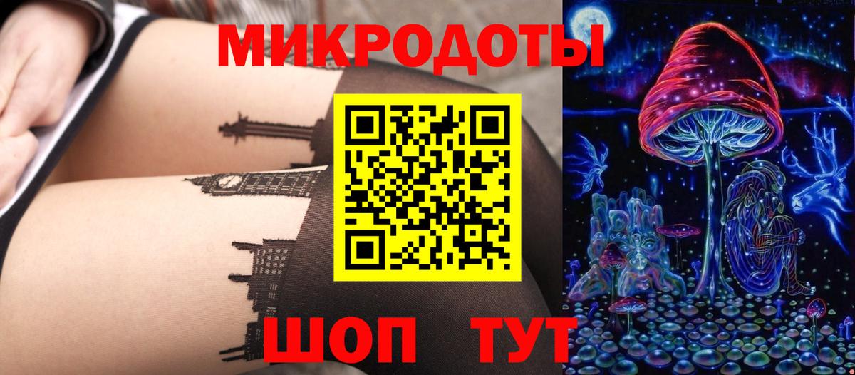 Галлюциногенные грибы Cubensis Махачкала