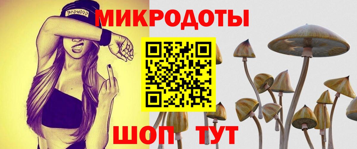 сколько стоит  Псилоцибиновые грибы Magic Shrooms  Махачкала  Вход с VPN  Псилоцибиновые грибы MAGIC MUSHROOMS 