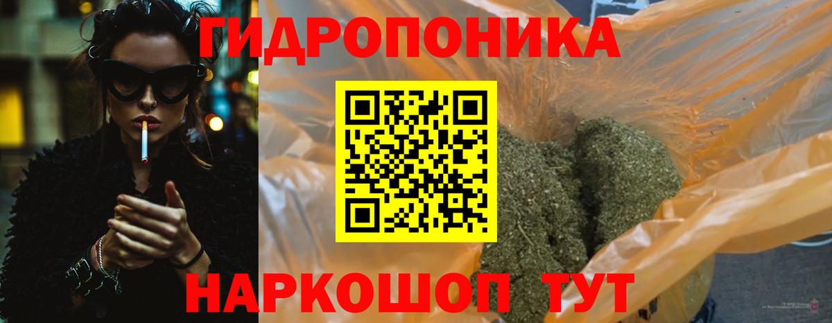 Бошки марихуана Amnesia  Бошки Шишки индика  Вход с VPN  Марихуана конопля  Марихуана планчик  Махачкала 